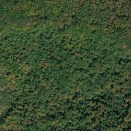 Satellite imagery of Piney Point, US