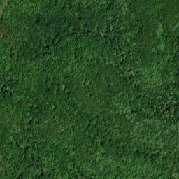 Satellite imagery of Canebrake Ridge, US