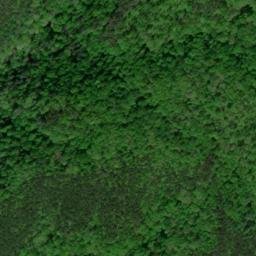 Satellite imagery of Caney Branch Ridge, US