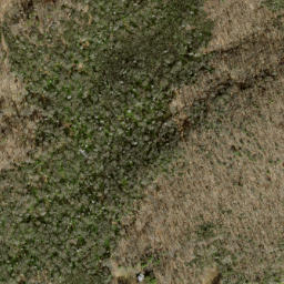 Satellite imagery of Fork Ridge, US