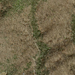 Satellite imagery of Fork Ridge, US