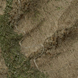 Satellite imagery of Fork Ridge, US