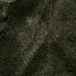 Satellite imagery of Big Beartrail Ridge, US