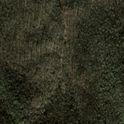 Satellite imagery of Big Beartrail Ridge, US