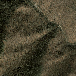 Satellite imagery of Bearpen Ridge, US