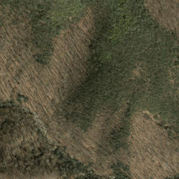 Satellite imagery of Bearpen Ridge, US
