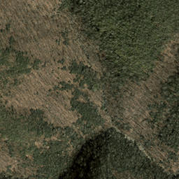 Satellite imagery of Chestnut Ridge, US