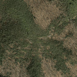 Satellite imagery of Chestnut Ridge, US
