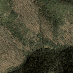 Satellite imagery of Chestnut Ridge, US