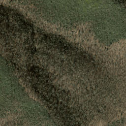 Satellite imagery of Pisgah Ridge, US