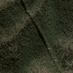 Satellite imagery of Pisgah Ridge, US