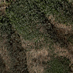 Satellite imagery of Soapstone Ridge, US