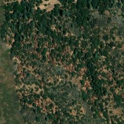 Satellite imagery of Black Bill Ridge, US