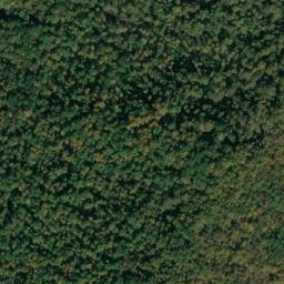 Satellite imagery of Piney Point, US