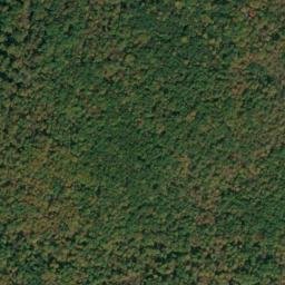 Satellite imagery of Piney Point, US