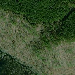 Satellite imagery of Bare Point, US