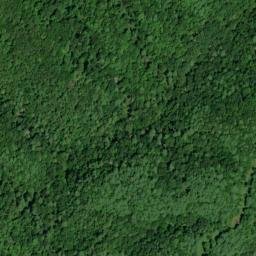 Satellite imagery of Canebrake Ridge, US
