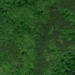Satellite imagery of Caney Branch Ridge, US