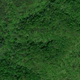 Satellite imagery of Caney Branch Ridge, US