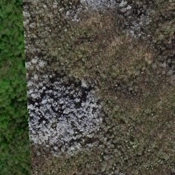 Satellite imagery of Sassafras Ridge, US