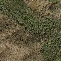 Satellite imagery of Fork Ridge, US