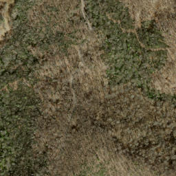 Satellite imagery of Fork Ridge, US