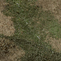 Satellite imagery of Fork Ridge, US