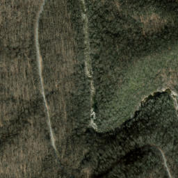 Satellite imagery of Green Ridge, US