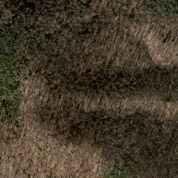 Satellite imagery of Grassy Ridge, US