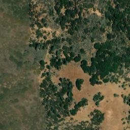 Satellite imagery of Black Bill Ridge, US