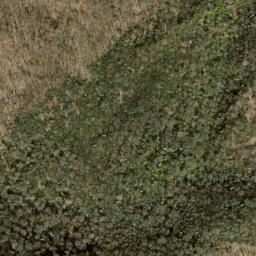 Satellite imagery of Fork Ridge, US