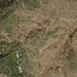 Satellite imagery of Fork Ridge, US