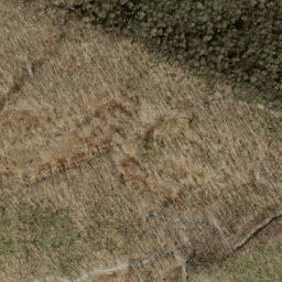 Satellite imagery of Fork Ridge, US