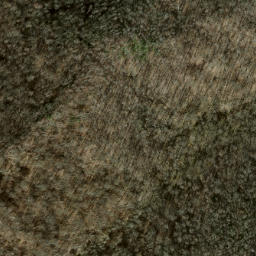 Satellite imagery of Horse Cove Ridge, US