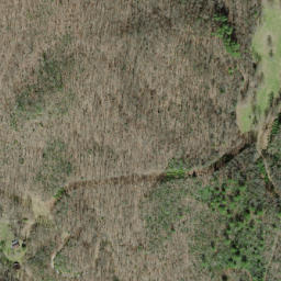 Satellite imagery of The Hog Back, US