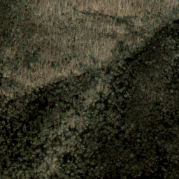 Satellite imagery of Big Beartrail Ridge, US