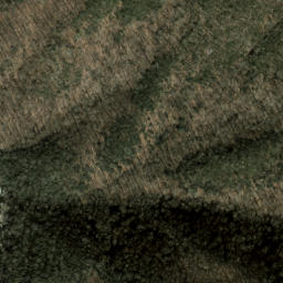 Satellite imagery of Fire Scald Ridge, US