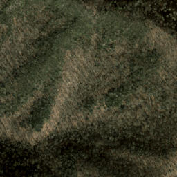 Satellite imagery of Fire Scald Ridge, US