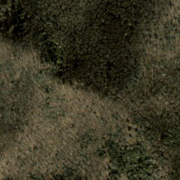Satellite imagery of Fire Scald Ridge, US