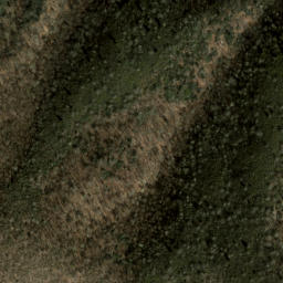Satellite imagery of Grassy Cove Ridge, US