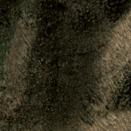 Satellite imagery of Grassy Cove Ridge, US
