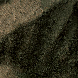 Satellite imagery of Raven Cliff Ridge, US