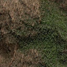 Satellite imagery of Grassy Ridge, US