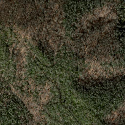 Satellite imagery of Grassy Ridge, US