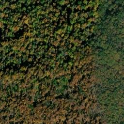 Satellite imagery of Tanyard Point, US