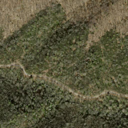 Satellite imagery of Pine Ridge, US