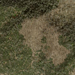 Satellite imagery of Pine Ridge, US