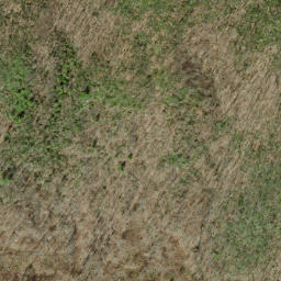 Satellite imagery of Horse Cove Ridge, US