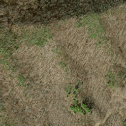 Satellite imagery of Horse Cove Ridge, US
