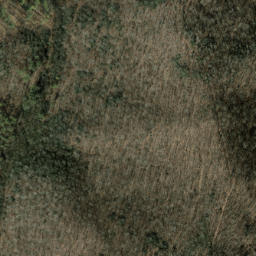 Satellite imagery of Gooseberry Ridge, US